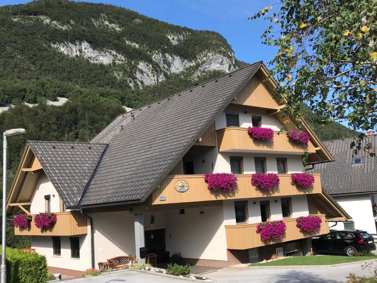 Apartments Maja By The River Bohinj Εξωτερικό φωτογραφία