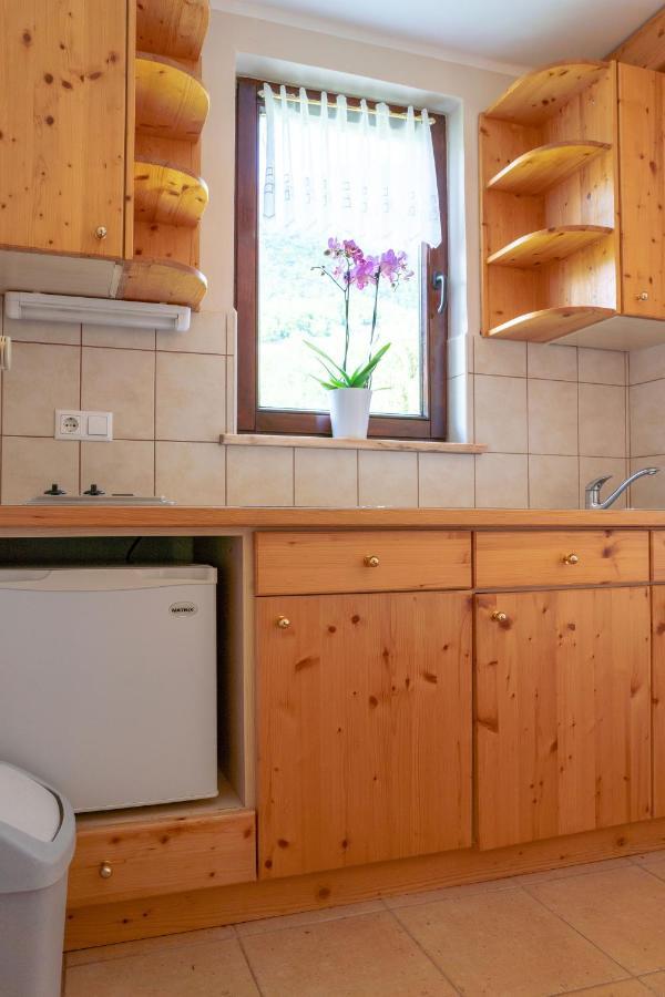 Apartments Maja By The River Bohinj Εξωτερικό φωτογραφία